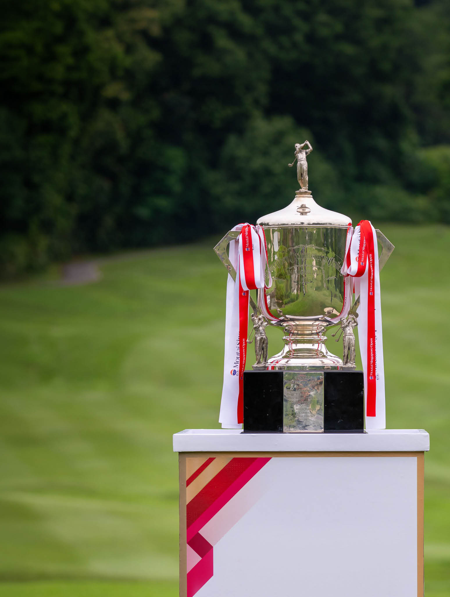 A trophy is on a stand in a grassy field. Description generated by AI